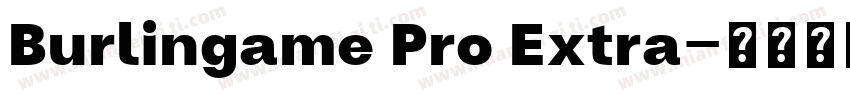 Burlingame Pro Extra字体转换